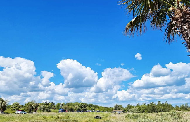 Seaside Charm in Frederikshavn - By Traum Ferienwohnungen - Foto 16