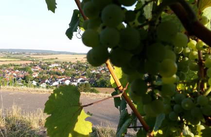 Haus mit Seele im Nahetal - Foto 47