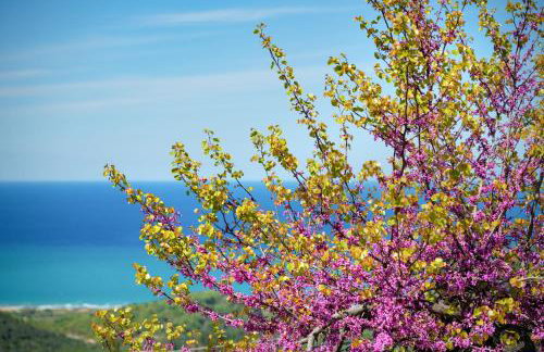 Villa Hercules - Foto 24