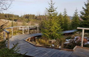 Ferienwohnung Tannenballett im Schwarzwald - Foto 54