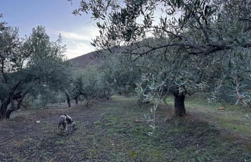 Casa Rural Los Caleros - Foto 3