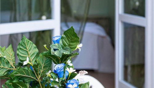 Sant'Anna del Volterraio - Margherite 3 - Foto 3