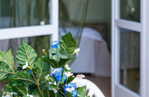 Sant'Anna del Volterraio - Margherite 3 - Foto 3