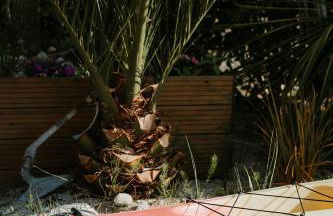 La Villa Des Dunes 4 étoiles , 100 m de la mer, spa, sauna - Foto 43