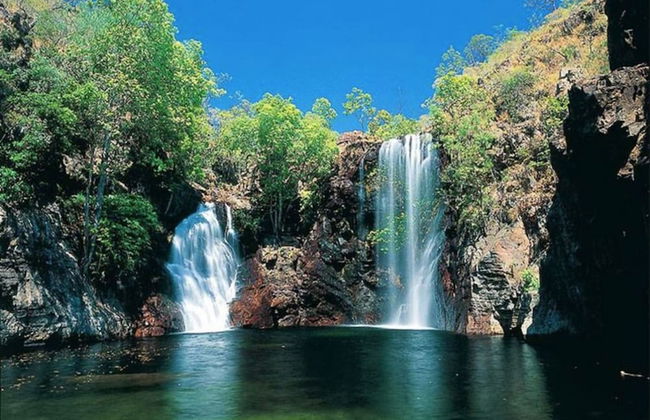 Modern Living Private Pool Bar Pets OK - Foto 30