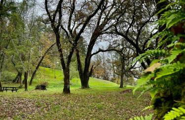 Avenue of the Giants Pepperwood Place (#2) - Foto 34