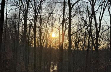 Turkey Creek Cabin Rentals #1 at Tims Ford lake Tullahoma - Foto 33