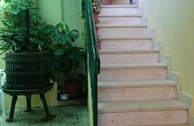 Apartments Petković - Foto 9