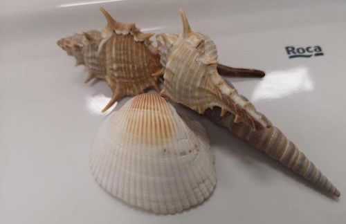 Sweet Dreams Tenerife Las Américas by Vapagó Tenerife - Foto 37