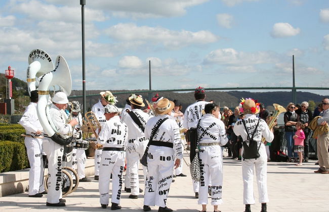 Les Hellebores - Foto 21