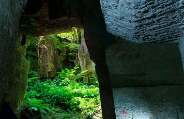 gîte Cosy Green 2 - Foto 43