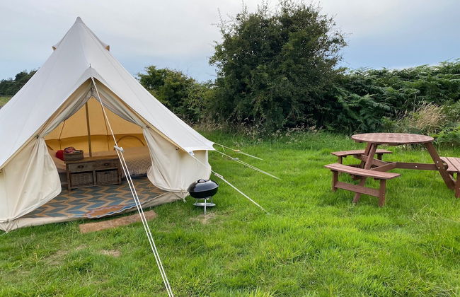 Bell Tent , Carreglwyd Estate, Anglesey - Photo 1