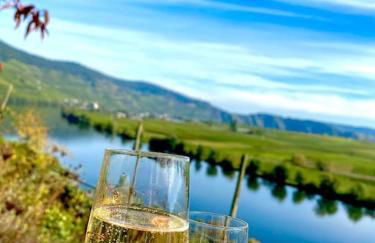 Wohnen direkt an Mosel und Goldbach - Foto 39