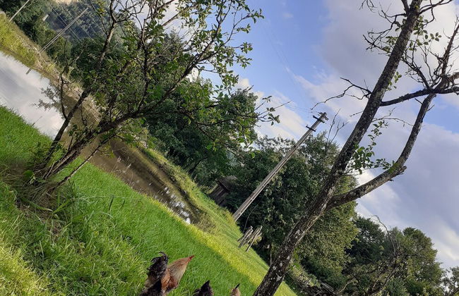 Room in Guest Room - Healthy Retreat Holiday in Mountain - Foto 66