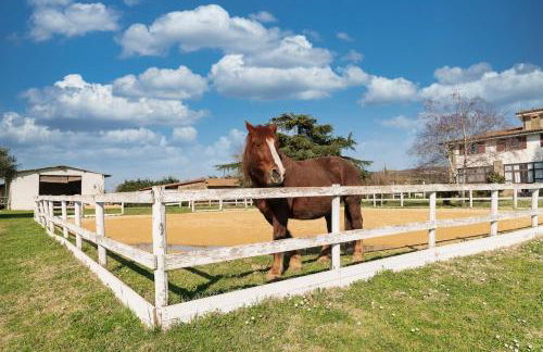 Villa immersed in green Isola dei Cavalli - Foto 48