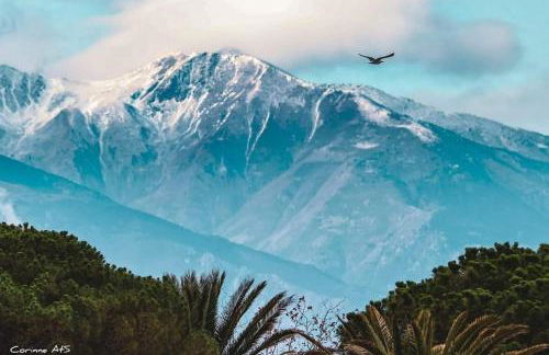 Loratori La Felicadad Cures & Vacances - Foto 49