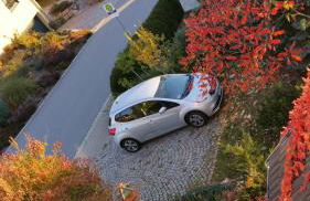 "Heiterer Blick" - Foto 45