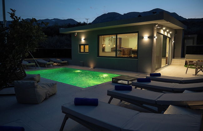 Olive Tree - Foto 40