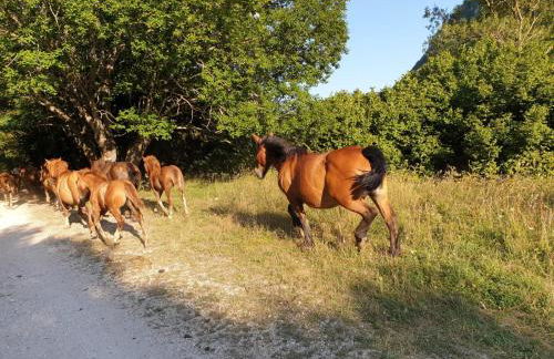 Iris Apartment, Parco Velino Sirente - Foto 33