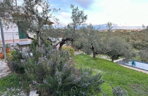 Haus mit Pool im Olivenhain - Foto 27