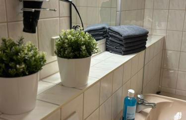 Boardinghouse Plauen im Zentrum der Stadt - Foto 53