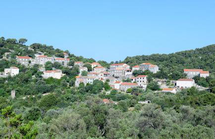 TEUTA Holiday house in National Park - Photo 40