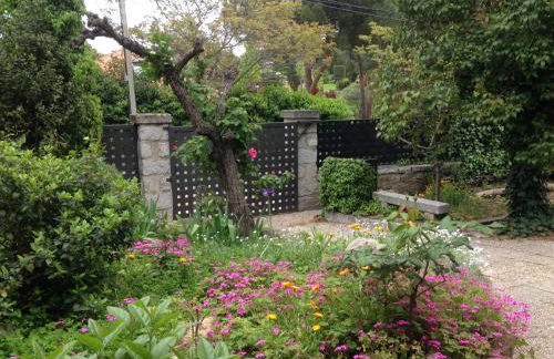 Espacioso e independiente apartamento - Foto 19