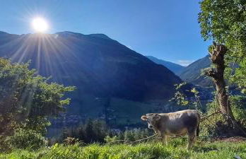 Großstahlhof Mountain & Panorama View - Foto 16