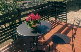 Casa Betty - Photo 26