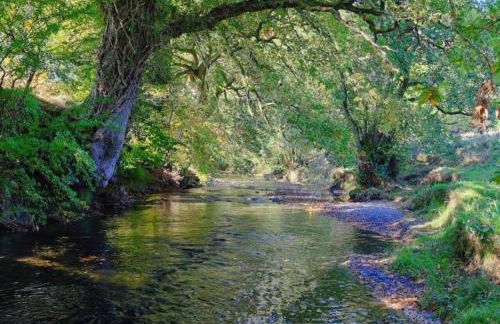 Owl Cabin - Photo 41