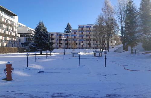 Ferienwohnung Marina in Sankt Englmar, Bayerischer Wald, familienfreundlich - Foto 22
