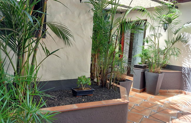 Apartamentos Monasterio de San Antonio - adults only - Photo 50