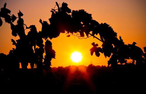 Agriturismo La Serra - Foto 59