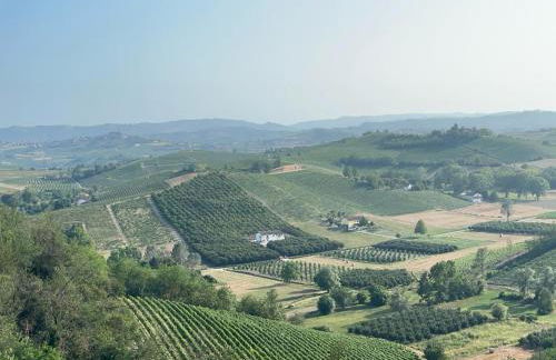 Cà d'Rita Monferrato - Viognier con sauna interna e idromassaggio e piscina esterni - Foto 41
