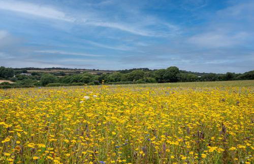 The Woodland Collection, 10 mins from beaches - Photo 4