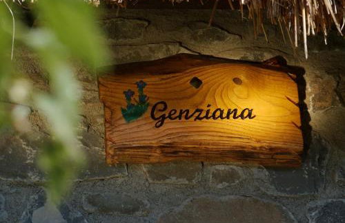 Alpeggio Pruno - Foto 17