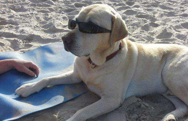 Coastal Love in Karlshagen - Foto 14