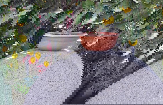 Agriturismo La Lobra - Photo 68