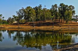 Palacete Dos Alcaides - Foto 74