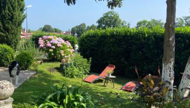 A la Colline de la bergerie - Foto 5