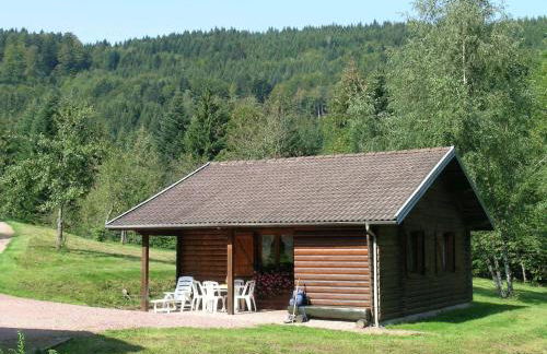 Ventron Chalet with Hill Views - Foto 22