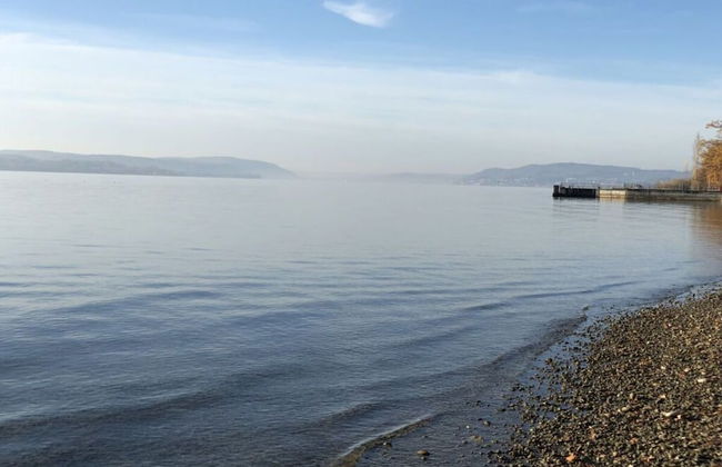 Pleasant Apartment With Terrace - Foto 3