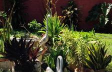 Refugio Namastê - Sheila - Foto 39