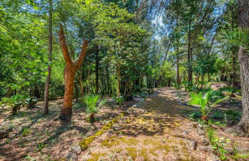 Son Grua Agroturismo - Adults Only - Photo 75