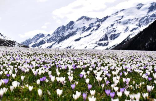 Mein Sonnenhof - Foto 32