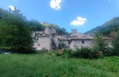 Umbria Valnerina , Il TARTUFFO, sulla via di Francesco - Photo 2