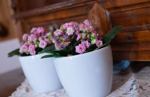 Residence Barbara - Foto 31