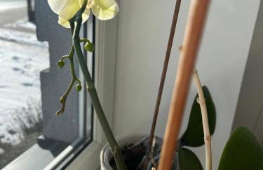 Apartament numer 1, dwie sypialnie dwa łóżka - Foto 8