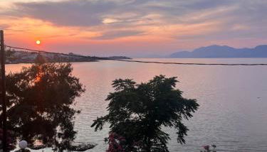 OpenSea #2 - Photo 2