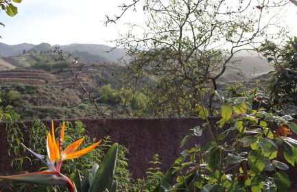 Casa rural Finca Don Amado, San Mateo - Foto 51